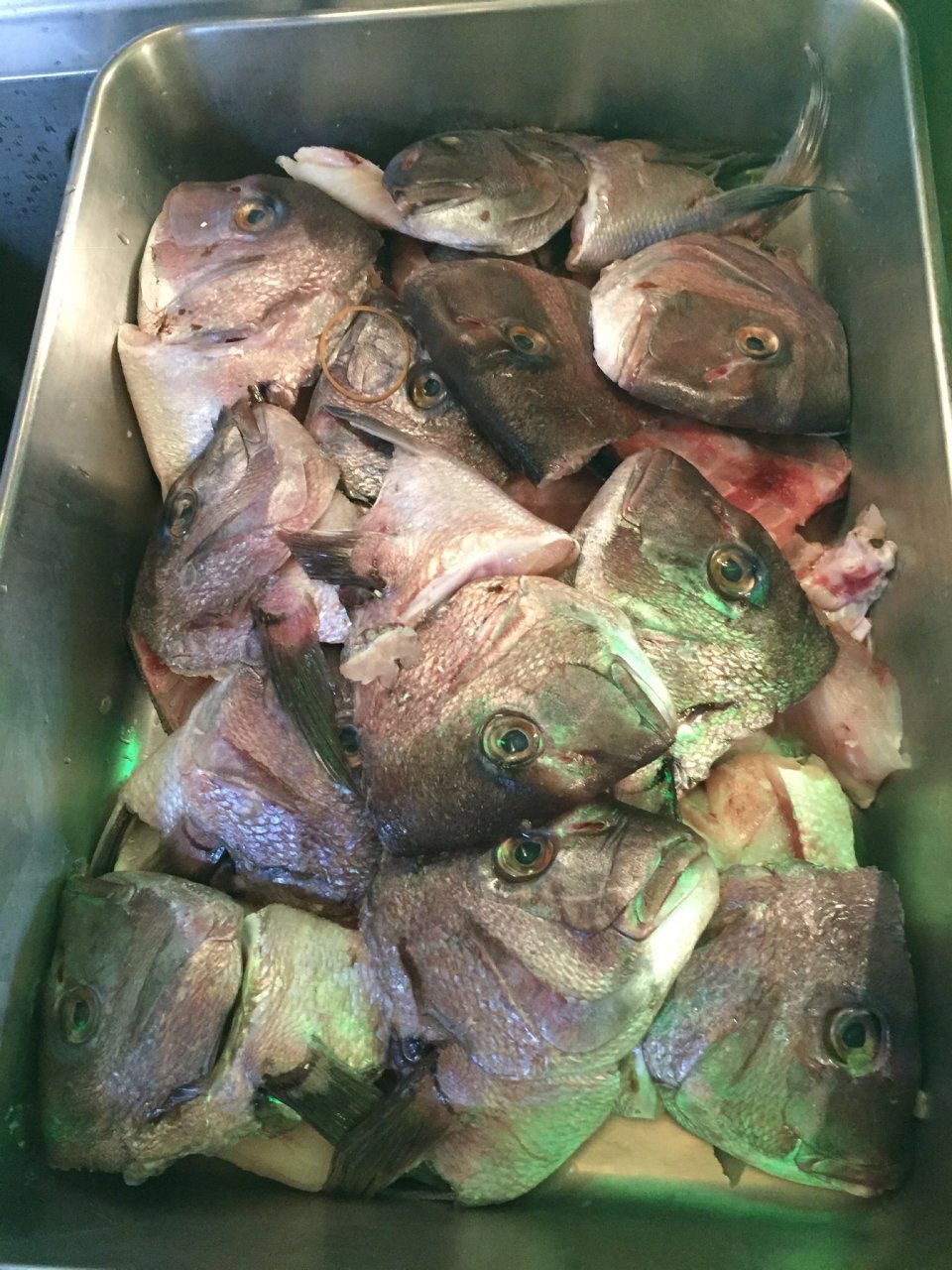 めんや薫寿(ことぶき) | 公式HP・福島市・魚介系・らーめん・あご出汁・鯛・つけめん・求人